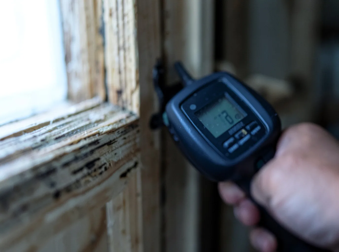 Moisture Inspection And Documentation in Gene Autry, OK